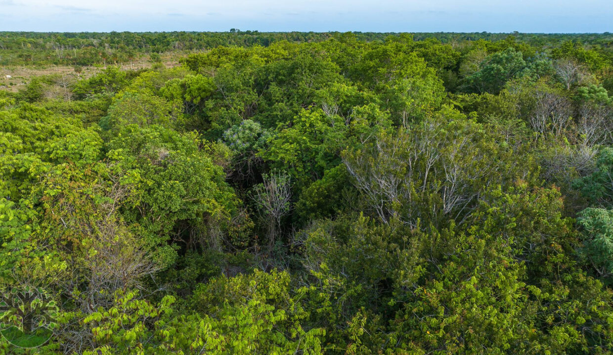 DJI_0206