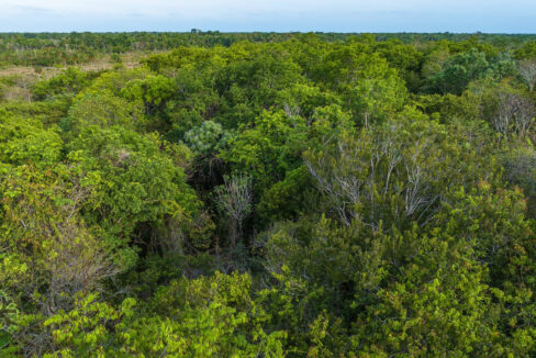 DJI_0206