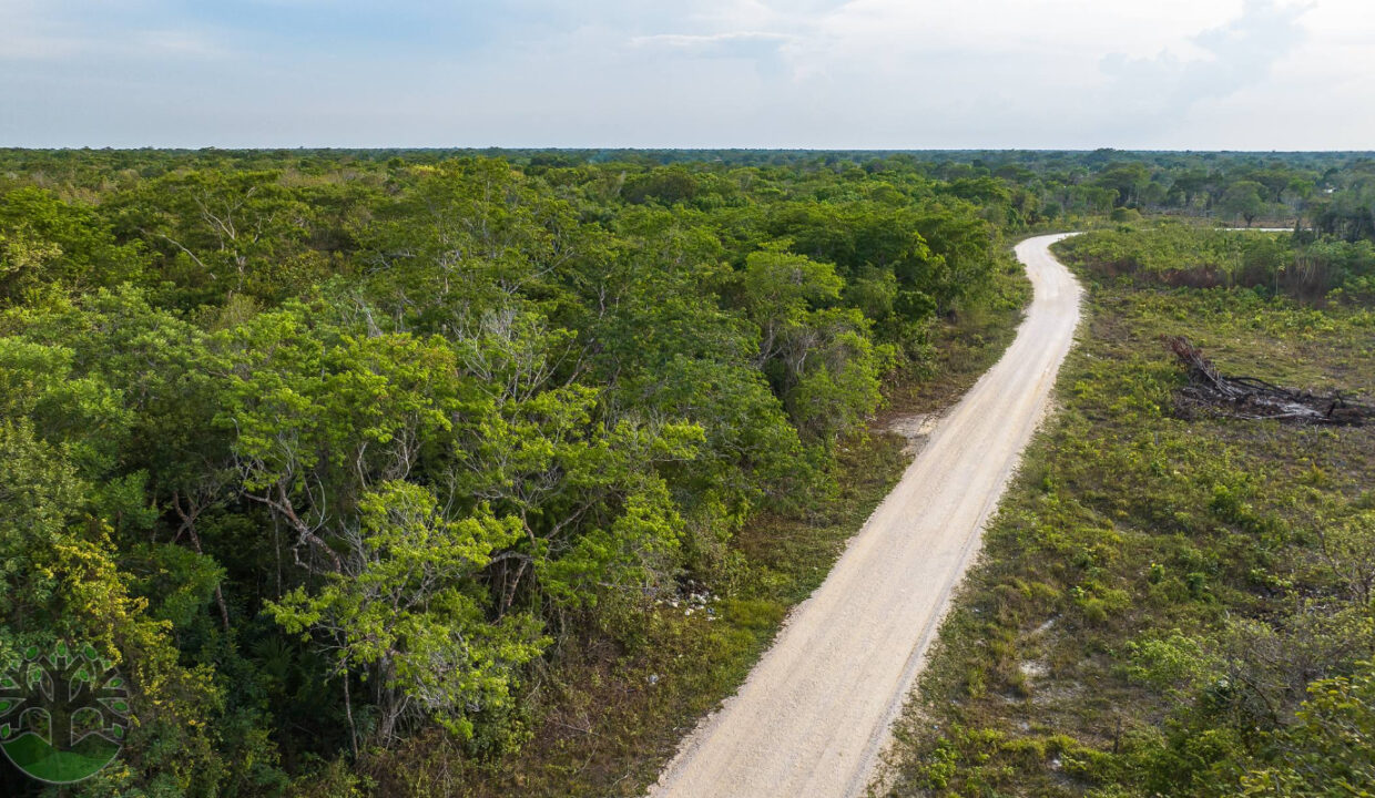 DJI_0207