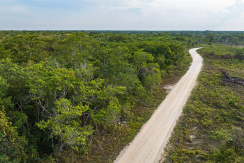 DJI_0207