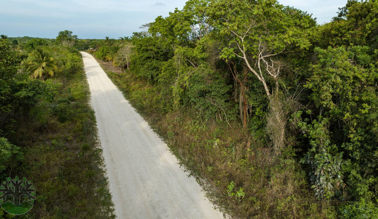 DJI_0216
