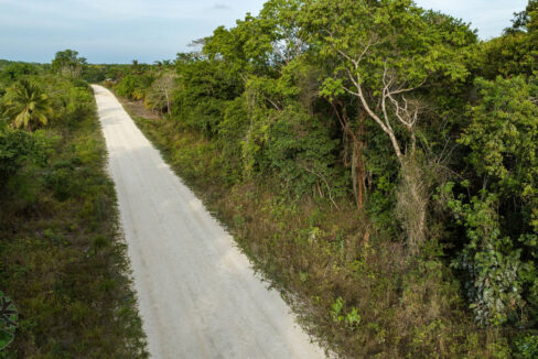 DJI_0216