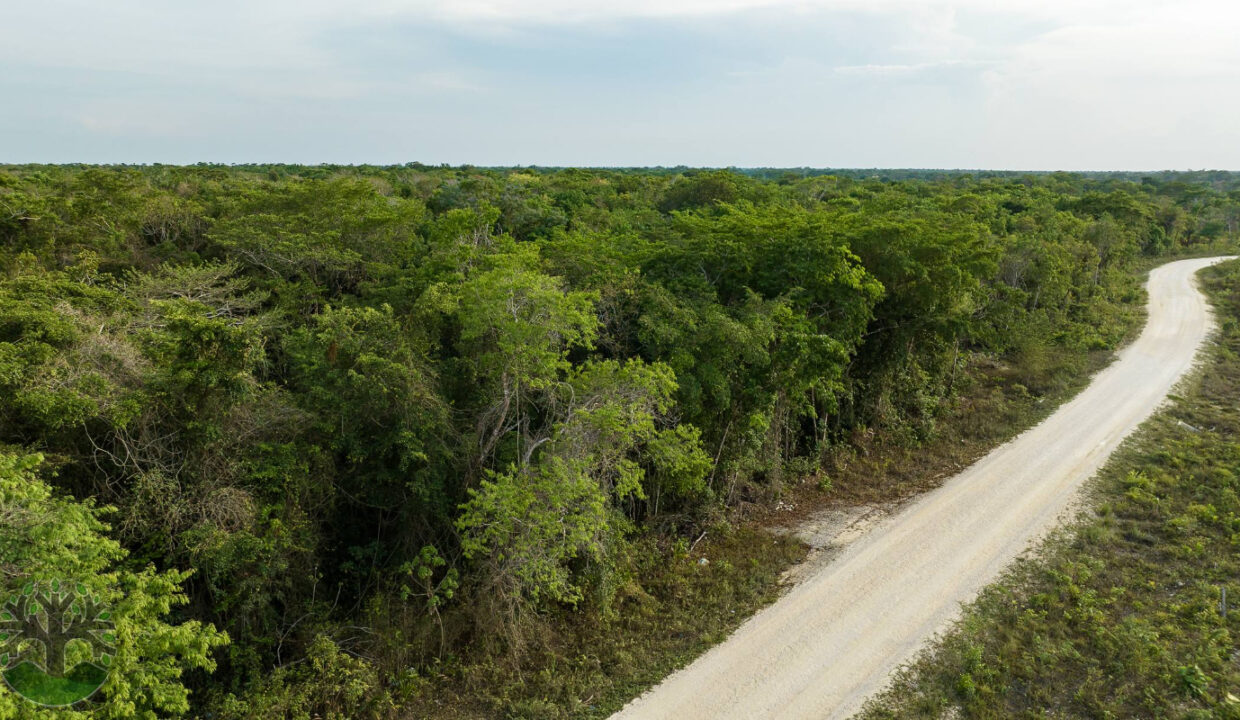 DJI_0222