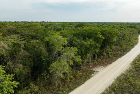 DJI_0222