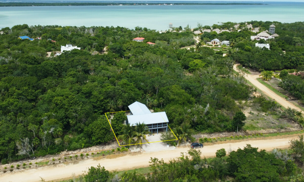 DJI_0225_20x