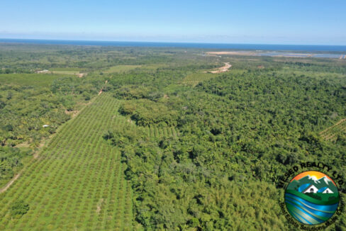 DJI_0261