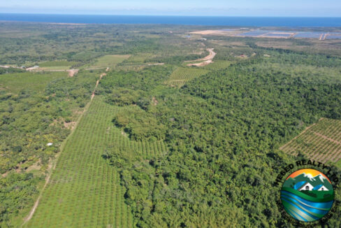 DJI_0262