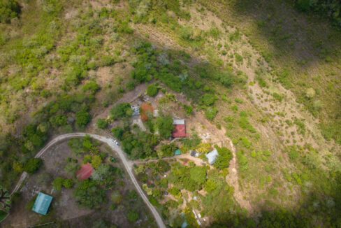 DJI_0291