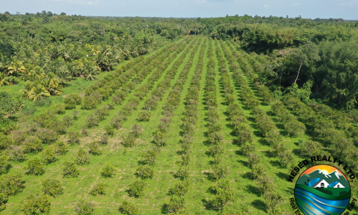 DJI_0292