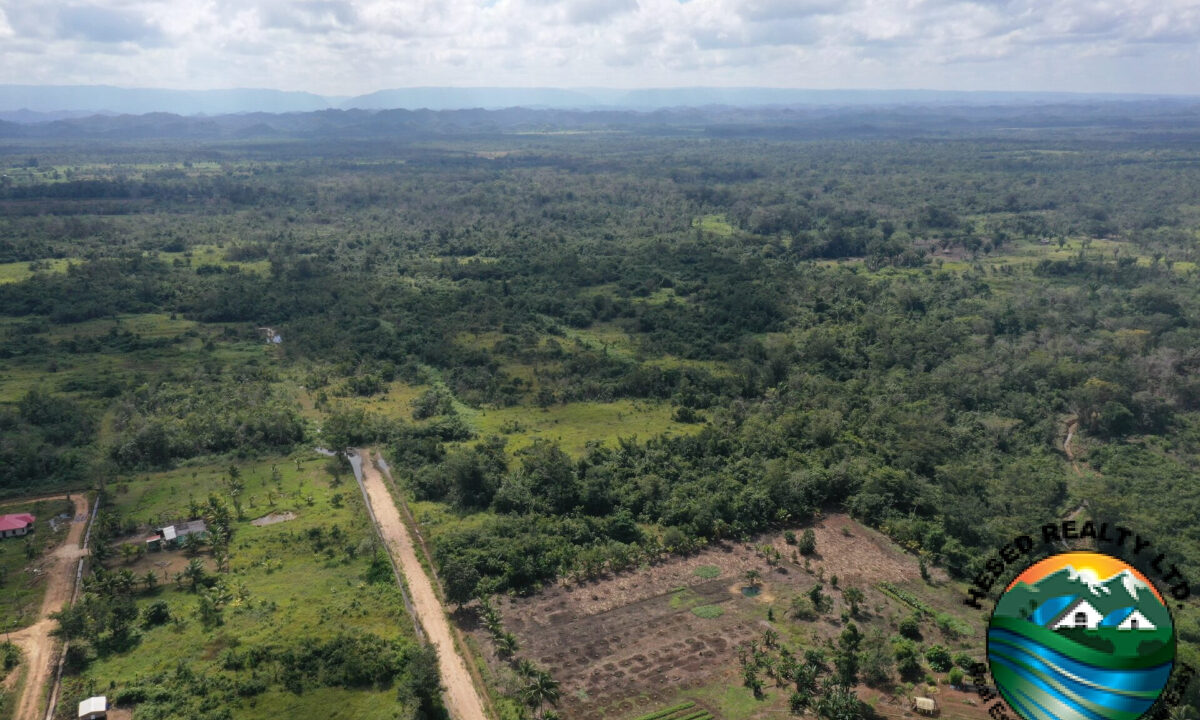 DJI_0305