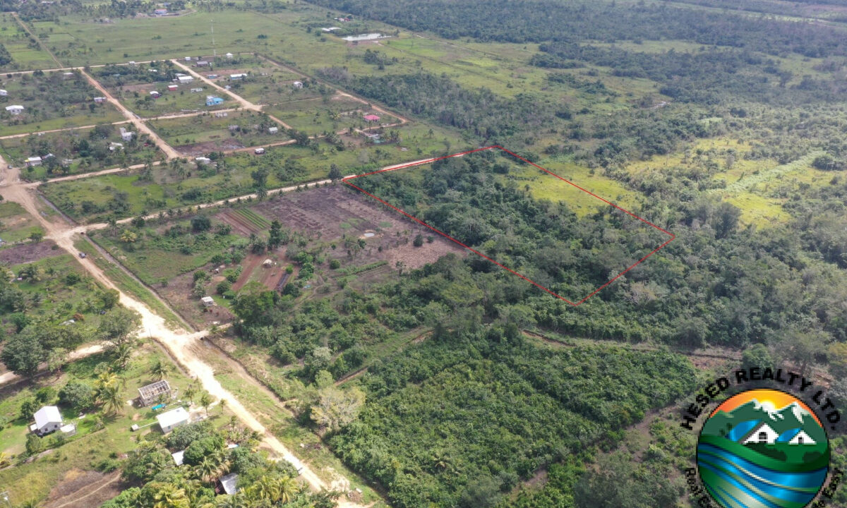 DJI_0306