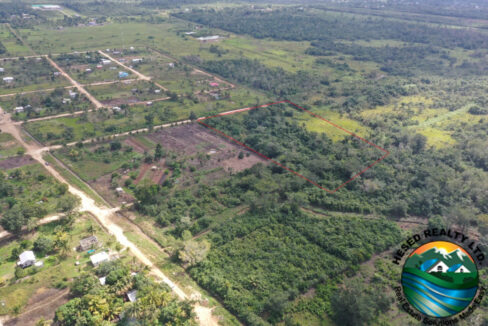 DJI_0306