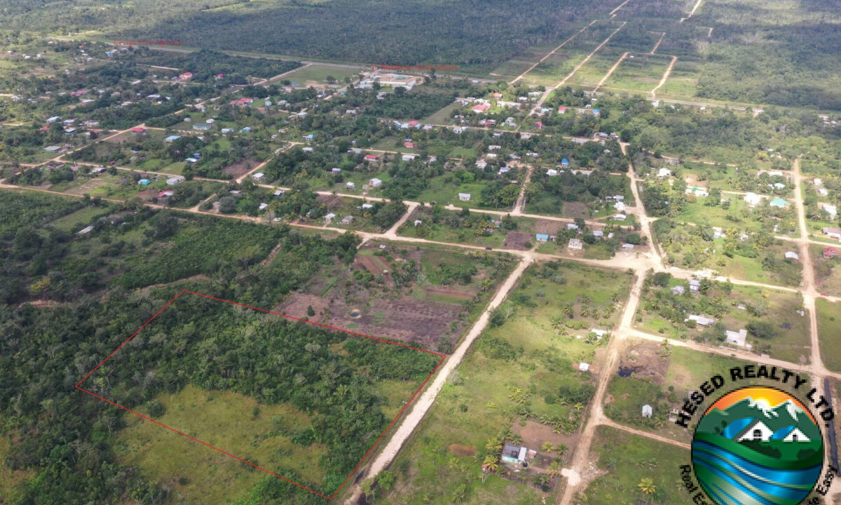 DJI_0309