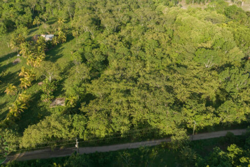 DJI_0318