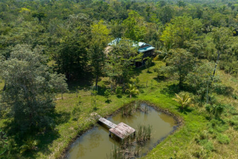 DJI_0321