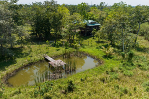 DJI_0323