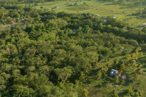 DJI_0326