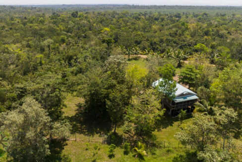 DJI_0328