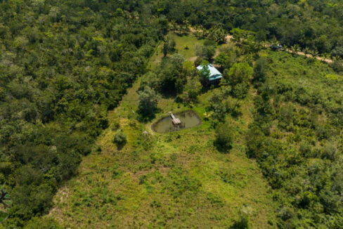 DJI_0330