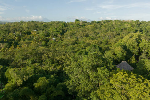 DJI_0337