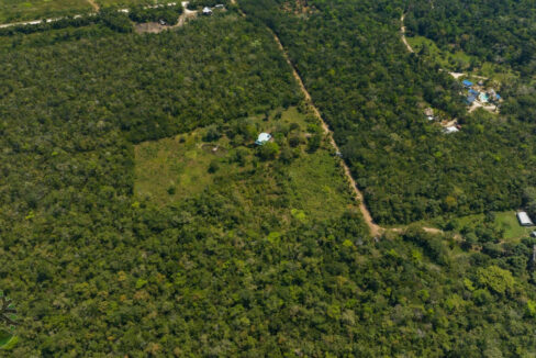 DJI_0339