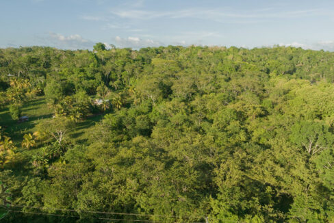 DJI_0341