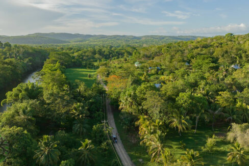 DJI_0342