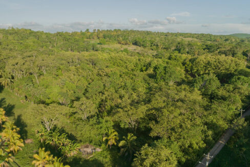 DJI_0344