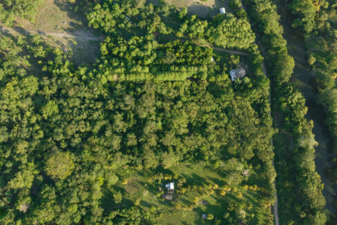 DJI_0347