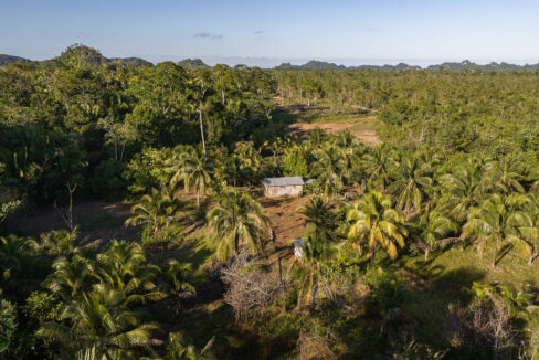 DJI_0394