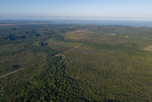 DJI_0437