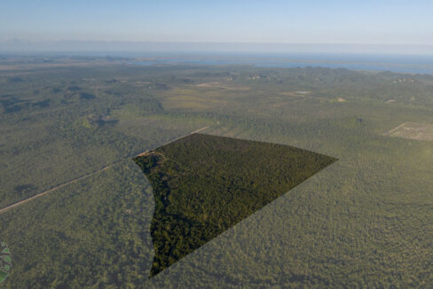 DJI_0445-Outline