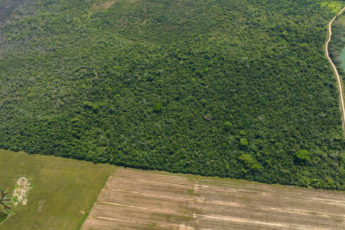 DJI_0448