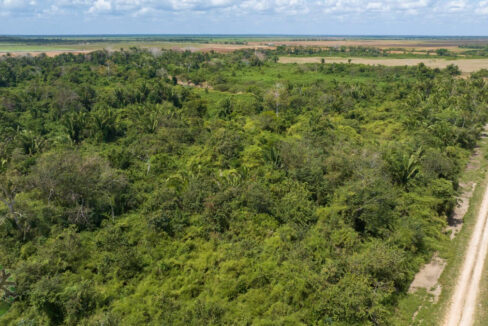 DJI_0466