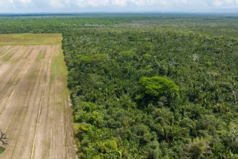 DJI_0471