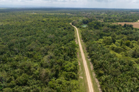 DJI_0473