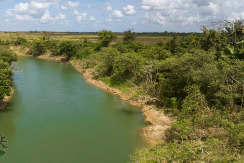 DJI_0484
