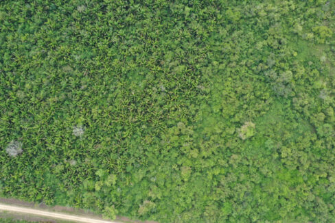 DJI_0497-scaled