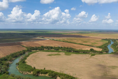 DJI_0499