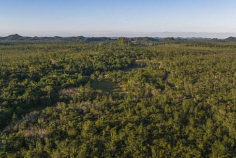 DJI_0521