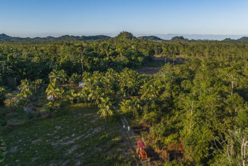 DJI_0525