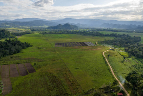 DJI_0626-HDR