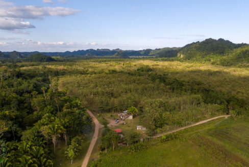 DJI_0630