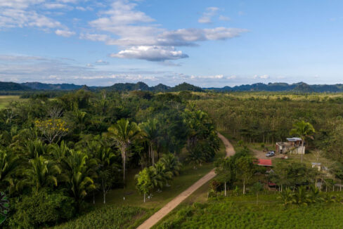 DJI_0634