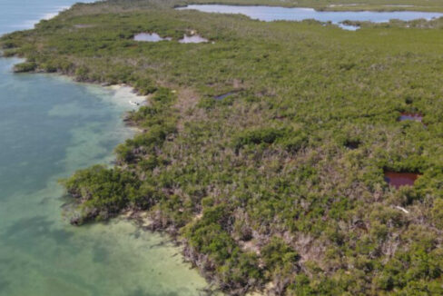 DJI_0638-scaled-1-835x467