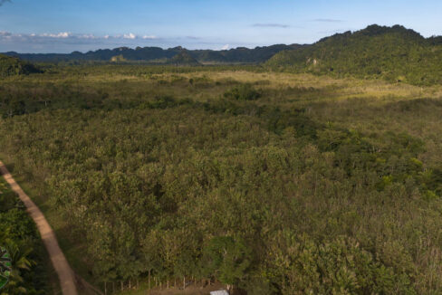 DJI_0651