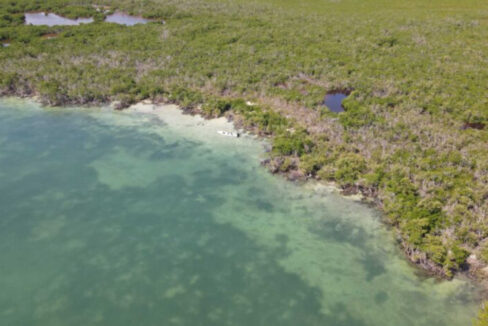 DJI_0652-scaled-1-835x467