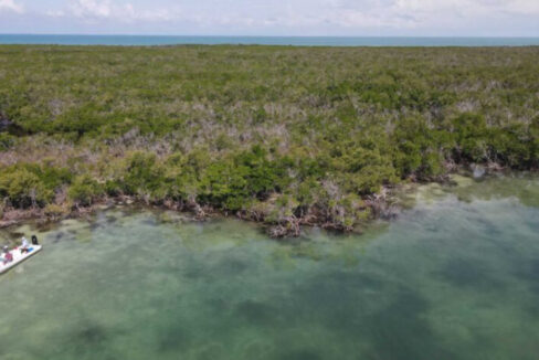 DJI_0657-scaled-1-835x467