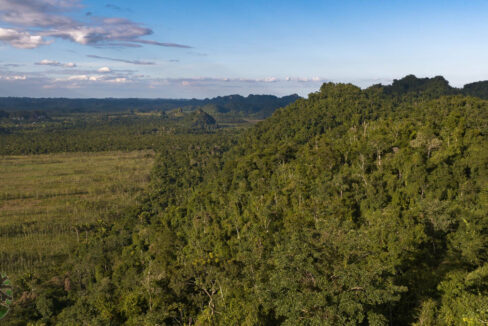 DJI_0672
