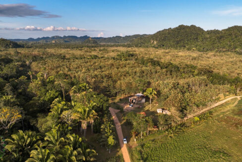 DJI_0735